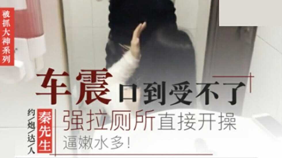 秦先生第四部-开车被口到受不了、餐厅厕所直接开操图片