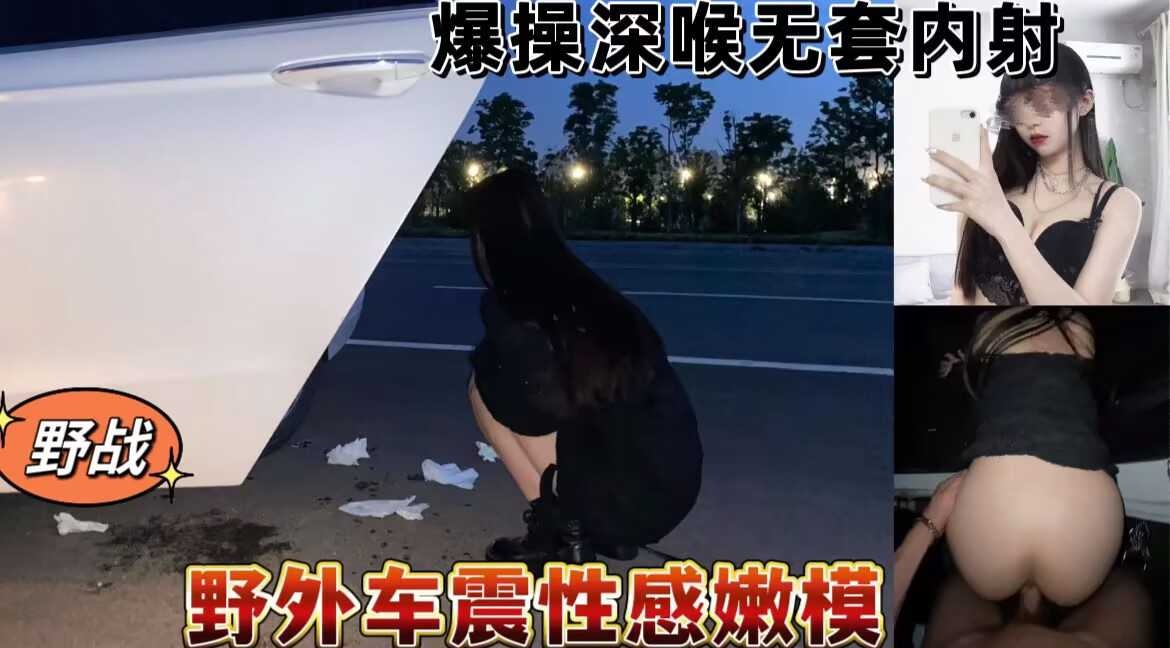 野外車震性感嫩模