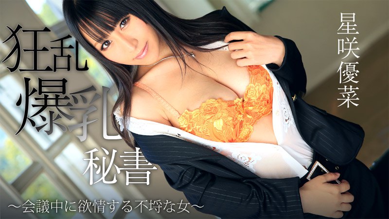 Heyzo-0746  狂乱爆乳秘書～会議中に欲情する不埒な女～图片